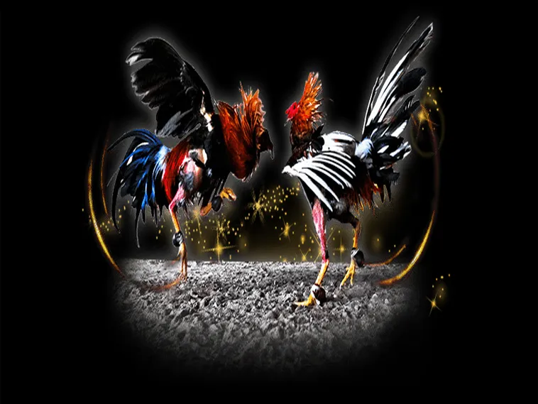 Hướng Dẫn Chi Tiết Cách Chơi Đá Gà Sabong Tại SaoWin Cho Người Mới