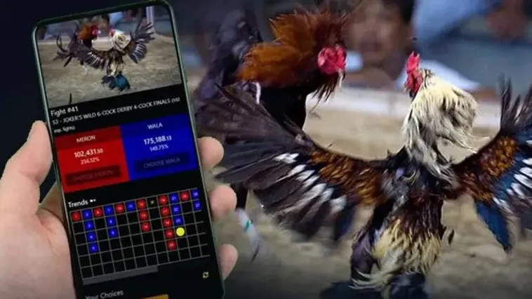 Đá Gà SaoWin Trực Tiếp Bùng Nổ Với Các Giải Đấu Hàng Tỷ Đồng